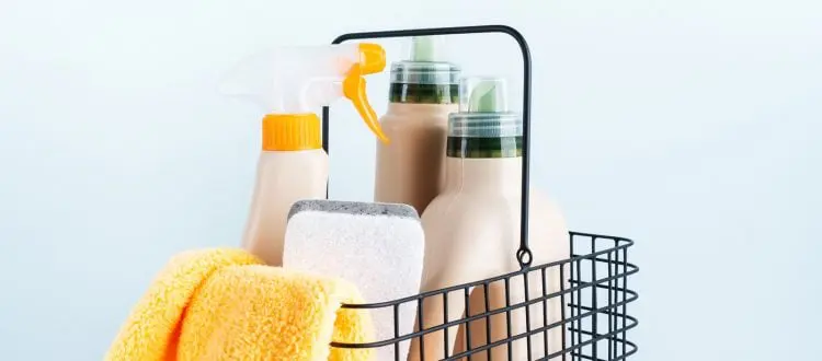 cleanliness-750x330